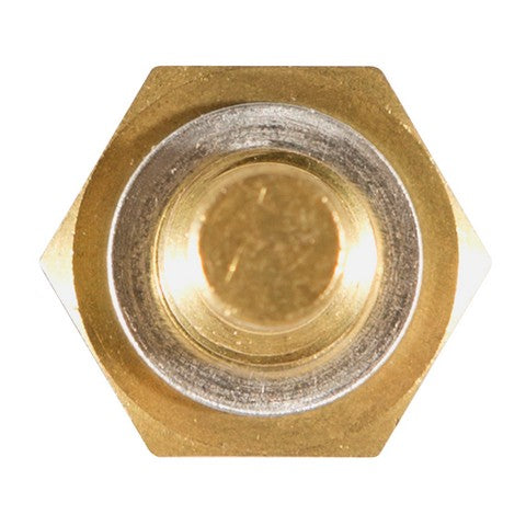 Engine Coolant Temperature Sensor Delphi TS10258