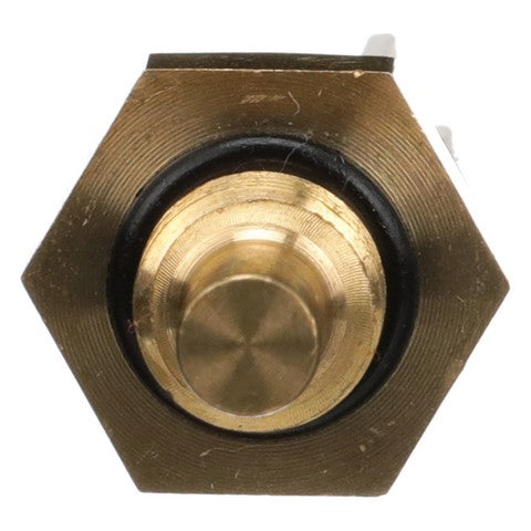Engine Coolant Temperature Sensor Delphi TS10288
