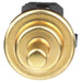 Engine Coolant Temperature Sensor Delphi TS10471