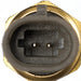 Air Charge Temperature Sensor Delphi TS10534
