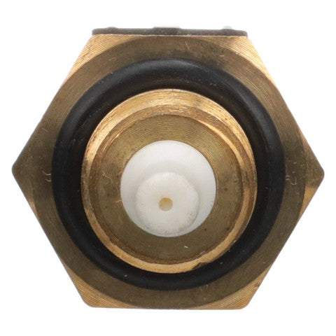 Air Charge Temperature Sensor Delphi TS10535