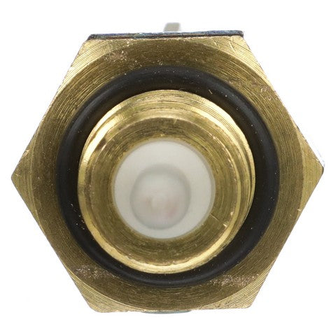 Air Charge Temperature Sensor Delphi TS10536
