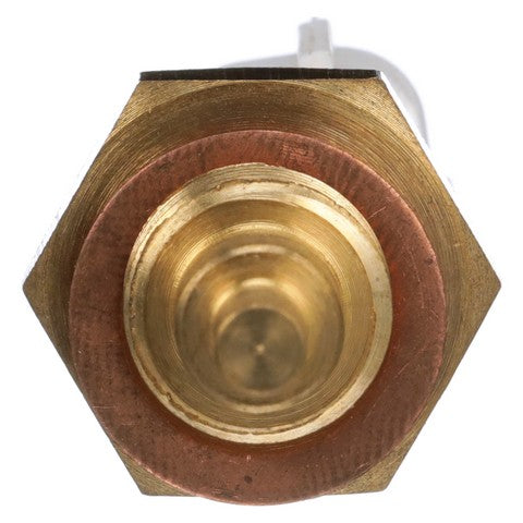 Engine Coolant Temperature Sensor Delphi TS10547