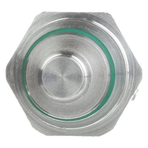 Engine Coolant Temperature Sensor Delphi TS10574