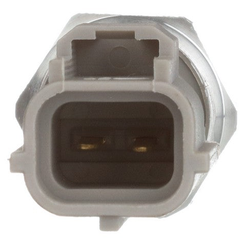 Engine Coolant Temperature Sensor Delphi TS10574