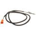 Exhaust Gas Temperature (EGT) Sensor Delphi TS30181