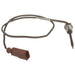 Exhaust Gas Temperature (EGT) Sensor Delphi TS30187