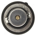 Engine Coolant Thermostat MAHLE Clevite TX 169 82