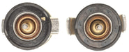 Engine Coolant Thermostat MAHLE Clevite TX 442 89D