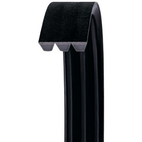 Accessory Drive Belt Dayco R5V800-3