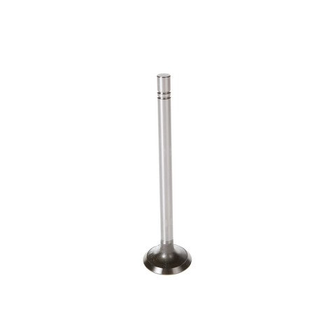 Engine Intake Valve Melling V0160