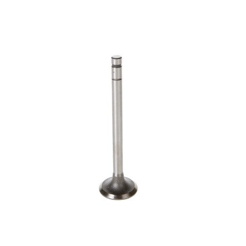 Engine Intake Valve Melling V0162