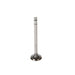 Engine Intake Valve Melling V0162