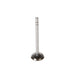 Engine Intake Valve Melling V0169