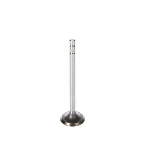 Engine Intake Valve Melling V0192