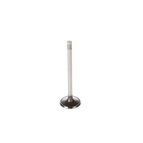Engine Intake Valve Melling V0577