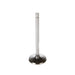 Engine Intake Valve Melling V0637