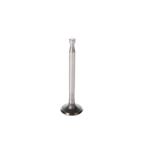 Engine Intake Valve Melling V0825