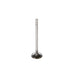 Engine Intake Valve Melling V0867