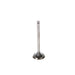 Engine Intake Valve Melling V0874