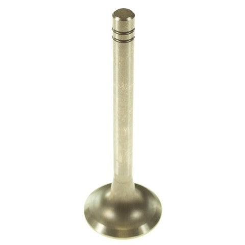 Engine Exhaust Valve Melling V0981
