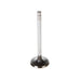 Engine Intake Valve Melling V0997