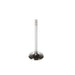 Engine Intake Valve Melling V1098