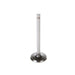 Engine Intake Valve Melling V1120
