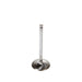 Engine Intake Valve Melling V1136