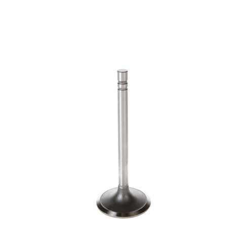 Engine Intake Valve Melling V1152