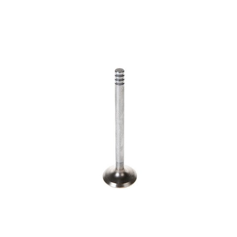 Engine Exhaust Valve Melling V1243