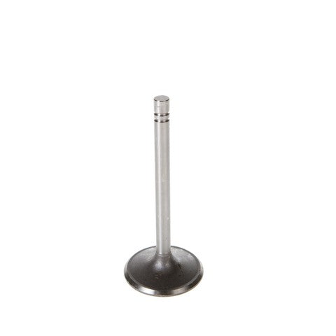 Engine Intake Valve Melling V1282