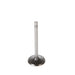 Engine Intake Valve Melling V1282