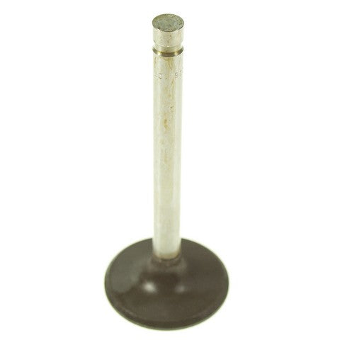 Engine Intake Valve Melling V1328