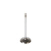 Engine Intake Valve Melling V1386