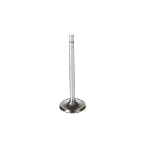 Engine Intake Valve Melling V1438