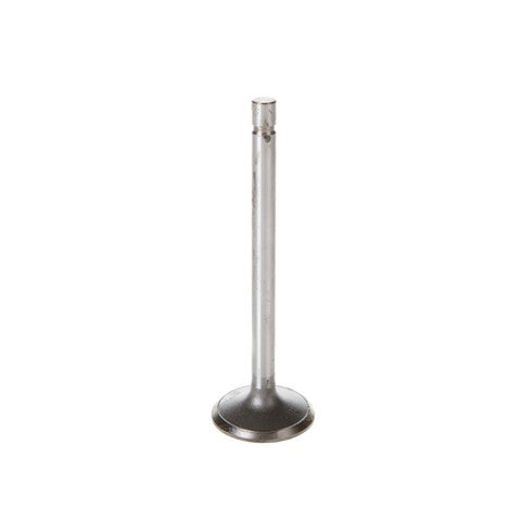 Engine Intake Valve Melling V1464