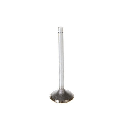 Engine Intake Valve Melling V1466