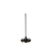 Engine Intake Valve Melling V1479