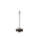Engine Intake Valve Melling V1505