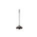 Engine Intake Valve Melling V1536