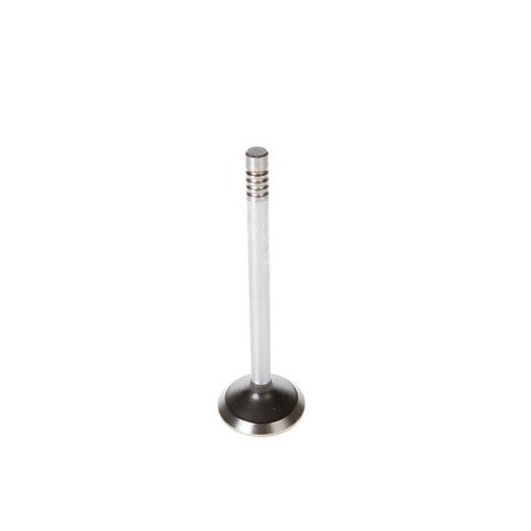 Engine Exhaust Valve Melling V1552