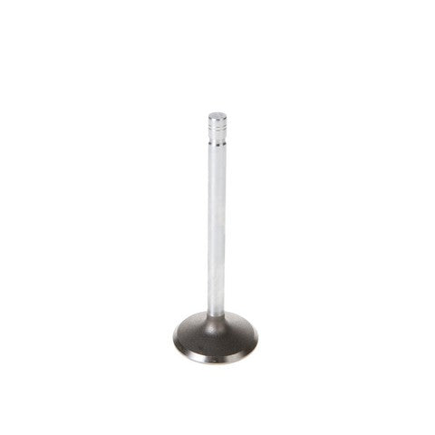 Engine Intake Valve Melling V1555