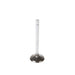 Engine Intake Valve Melling V1555