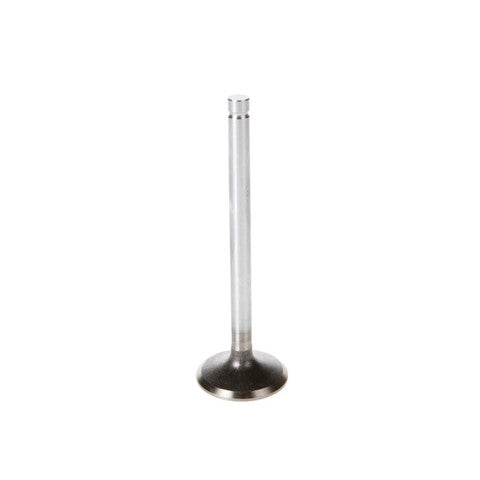 Engine Intake Valve Melling V1559