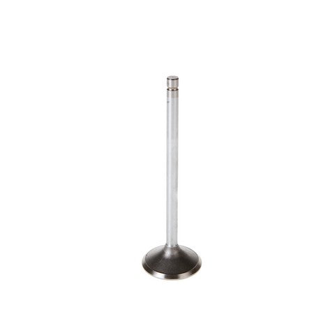 Engine Intake Valve Melling V1569