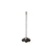 Engine Intake Valve Melling V1569