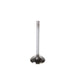 Engine Intake Valve Melling V1592