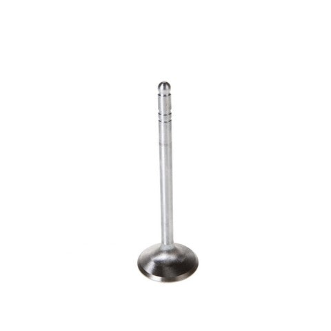 Engine Intake Valve Melling V1649