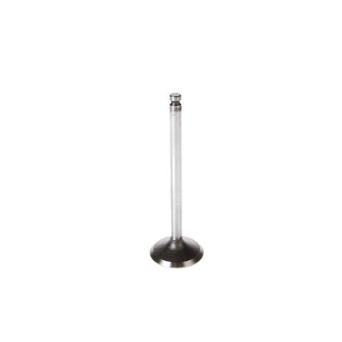 Engine Intake Valve Melling V1673